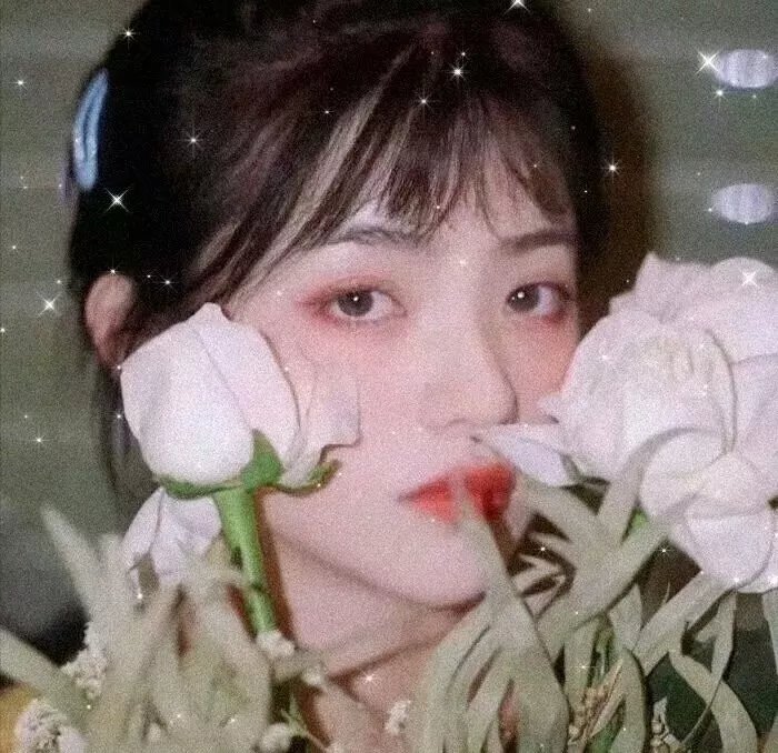 甄嬛爱不停